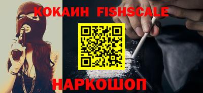 шишки Славгород