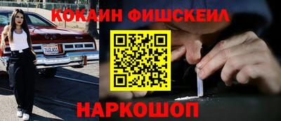 шишки Славгород