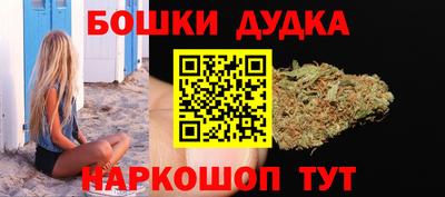 шишки Славгород
