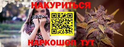 шишки Славгород