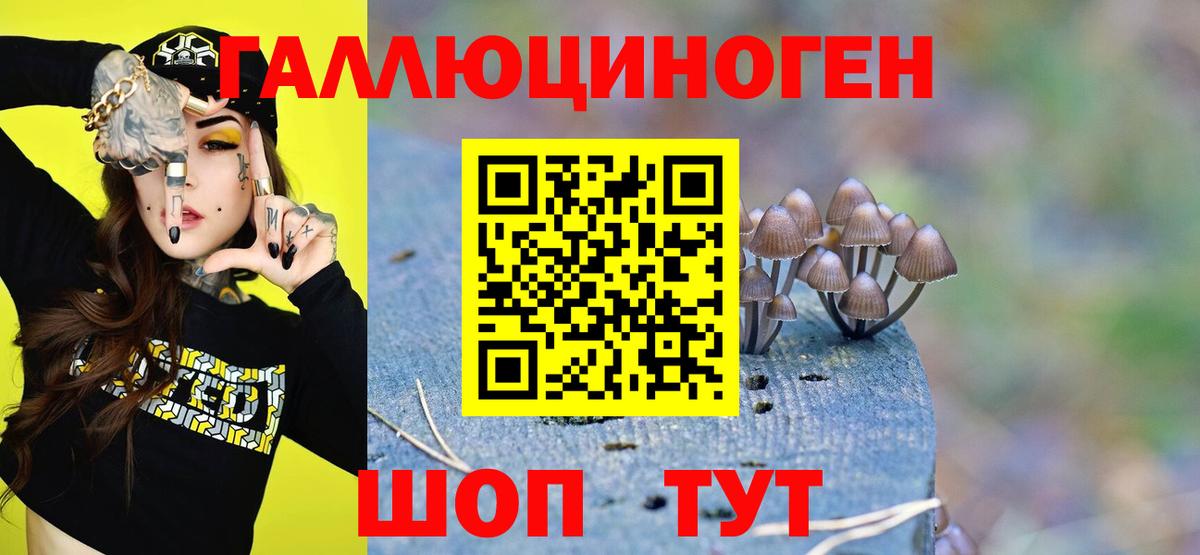 Галлюциногенные грибы мицелий  Вход с VPN  цены наркотик  Орехово-Зуево 